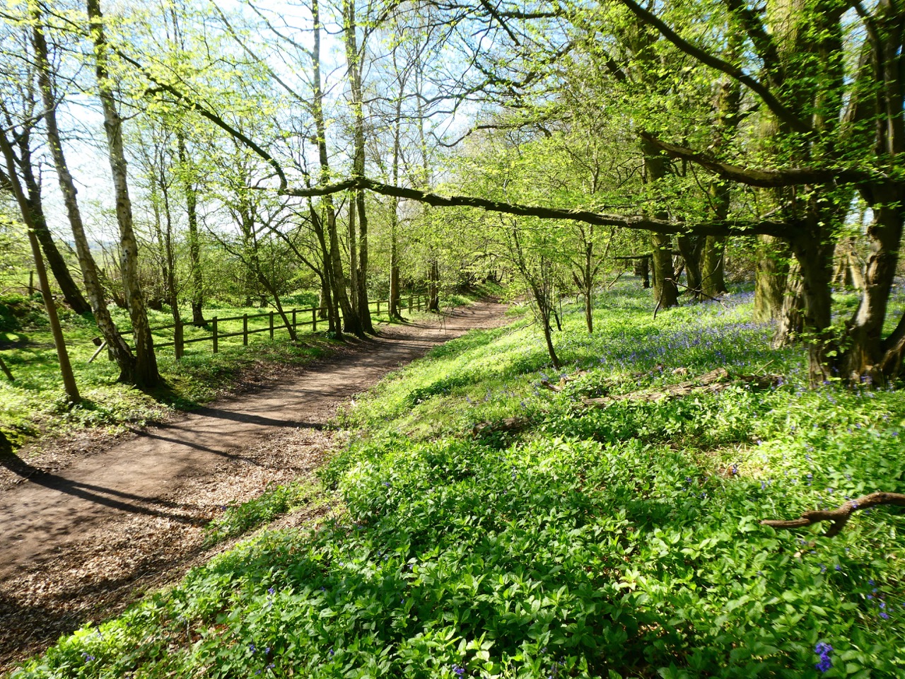 Picnic spot on Ayot Greenway: Arc 12 outer