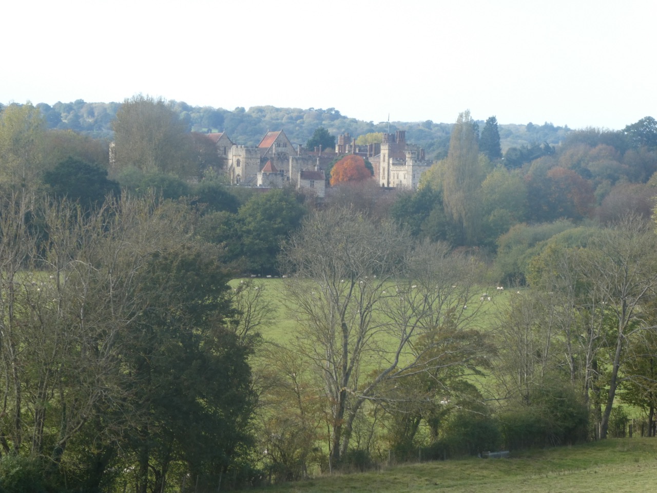 Penshurst Place: Spin-off 5