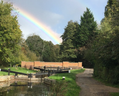 A showery day on the Basingstoke Canal: Spin-off 8