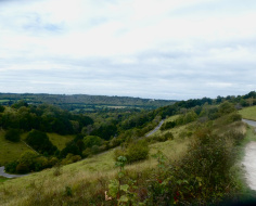Challenge youself on the Box Hill Zig Zag: Box Hill Loop