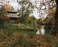 Victoria Park pagoda in high autumn