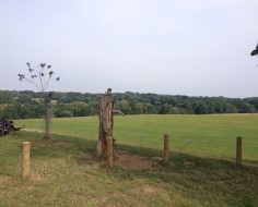 Weald Country Park: Romford-Brentwood link