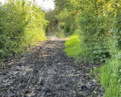 Impassable NCN21 cycleway at Redhill: Spin-off 6
