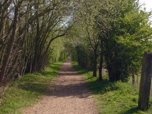 Enticing view down Cole Green Way: Arc 12 merged