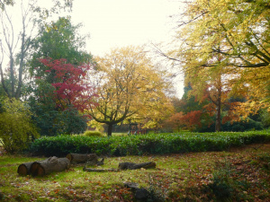 Autumn in Langley Park: Spoke 8N