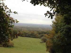 The Kentish Weald from Ide Hill: Spin-off 5 link