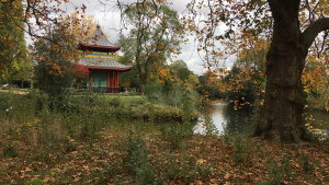 Victoria Park pagoda in high autumn