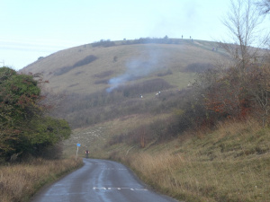 Winter coppicing on Ivinghoe Beacon